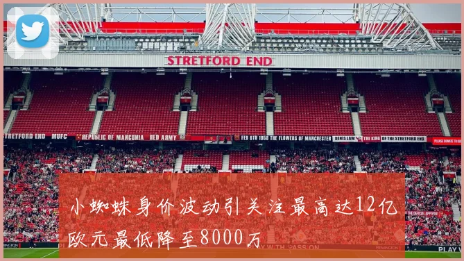 小蜘蛛身价波动引关注最高达12亿欧元最低降至8000万